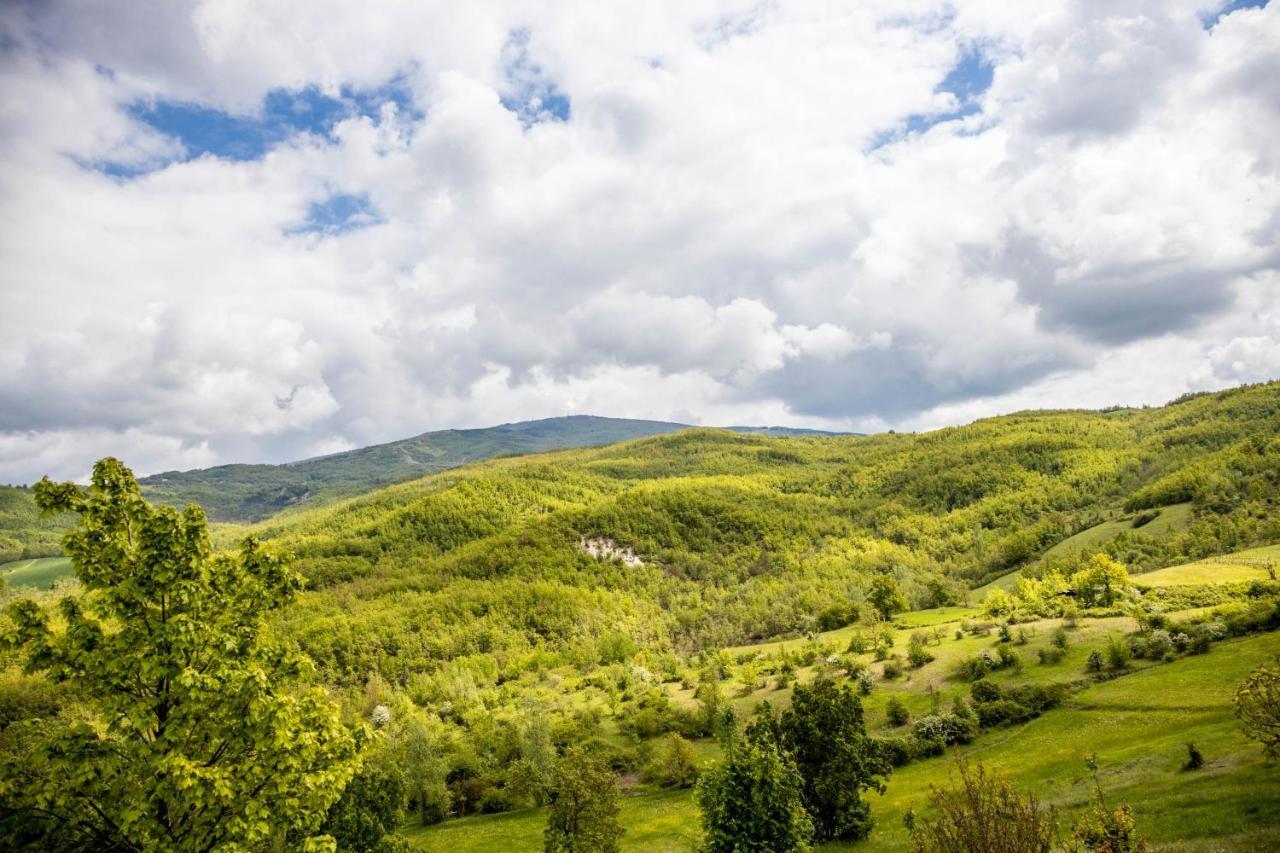 Nido D'Amore Nei Colori Dernice Zewnętrze zdjęcie