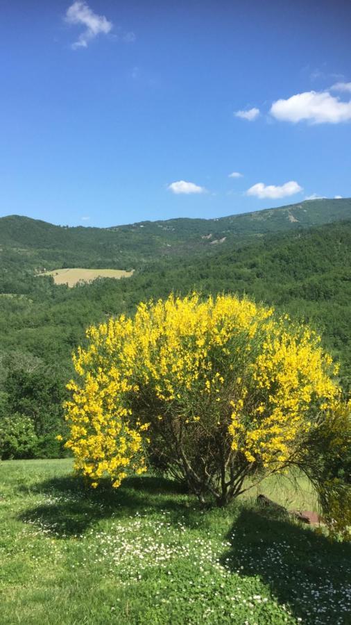 Nido D'Amore Nei Colori Dernice Zewnętrze zdjęcie